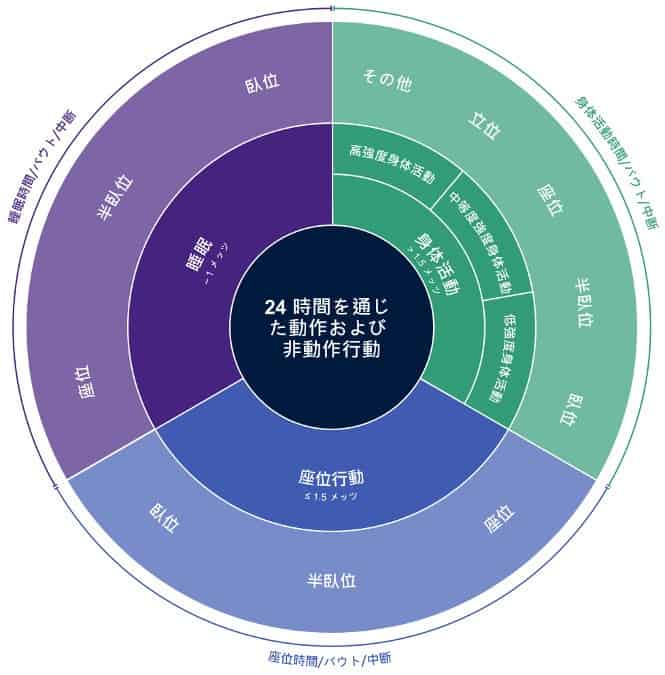 Consensus Definitions Japanese Translation The Sedentary Behaviour Research Network Sbrn