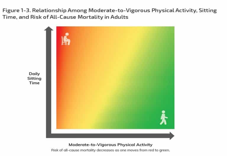 Why is Sedentary Behavior Making an Appearance in Physical Activity